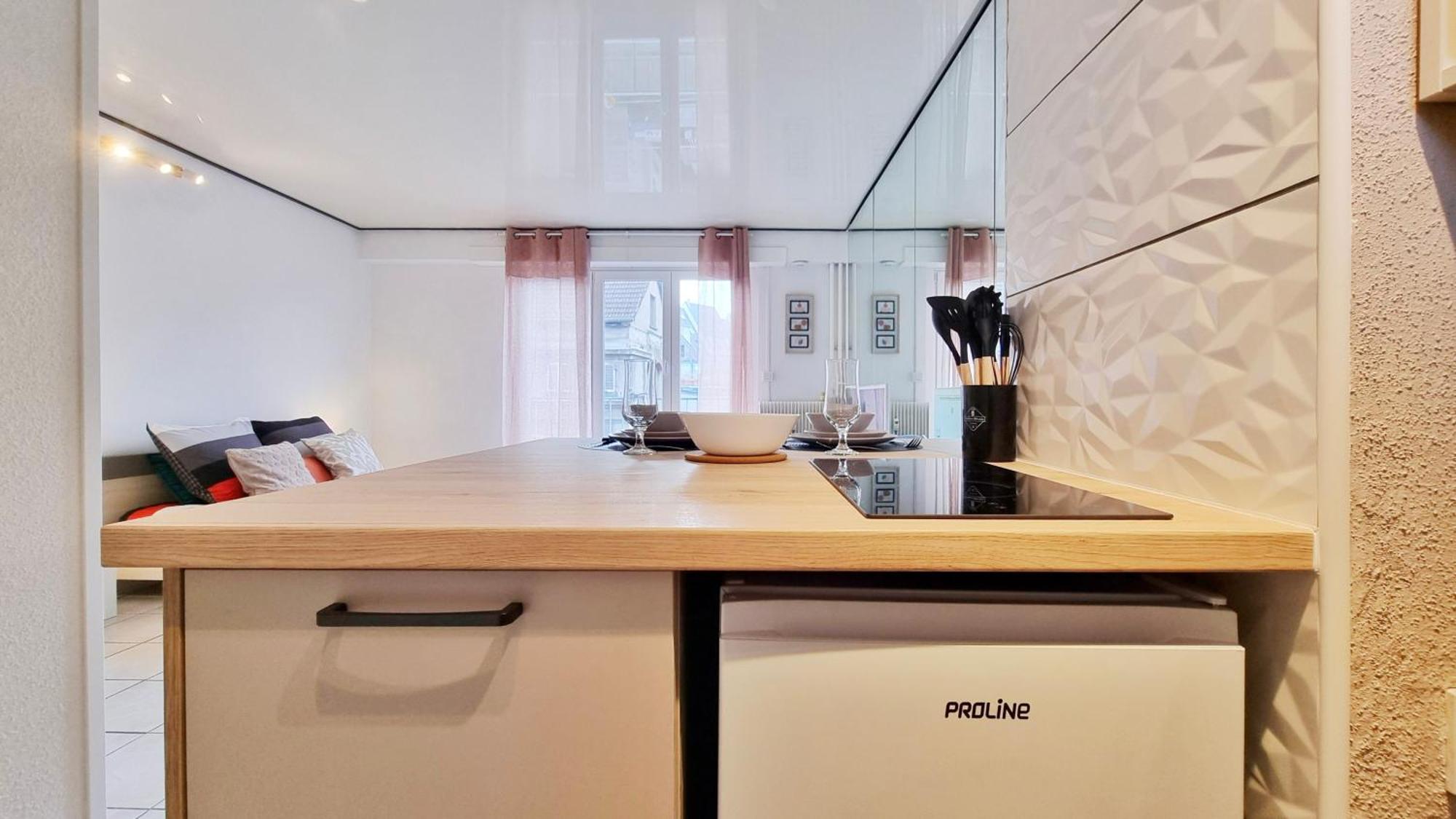 Le Cozy Urbain - Centre - Rbnb Apartment Colmar